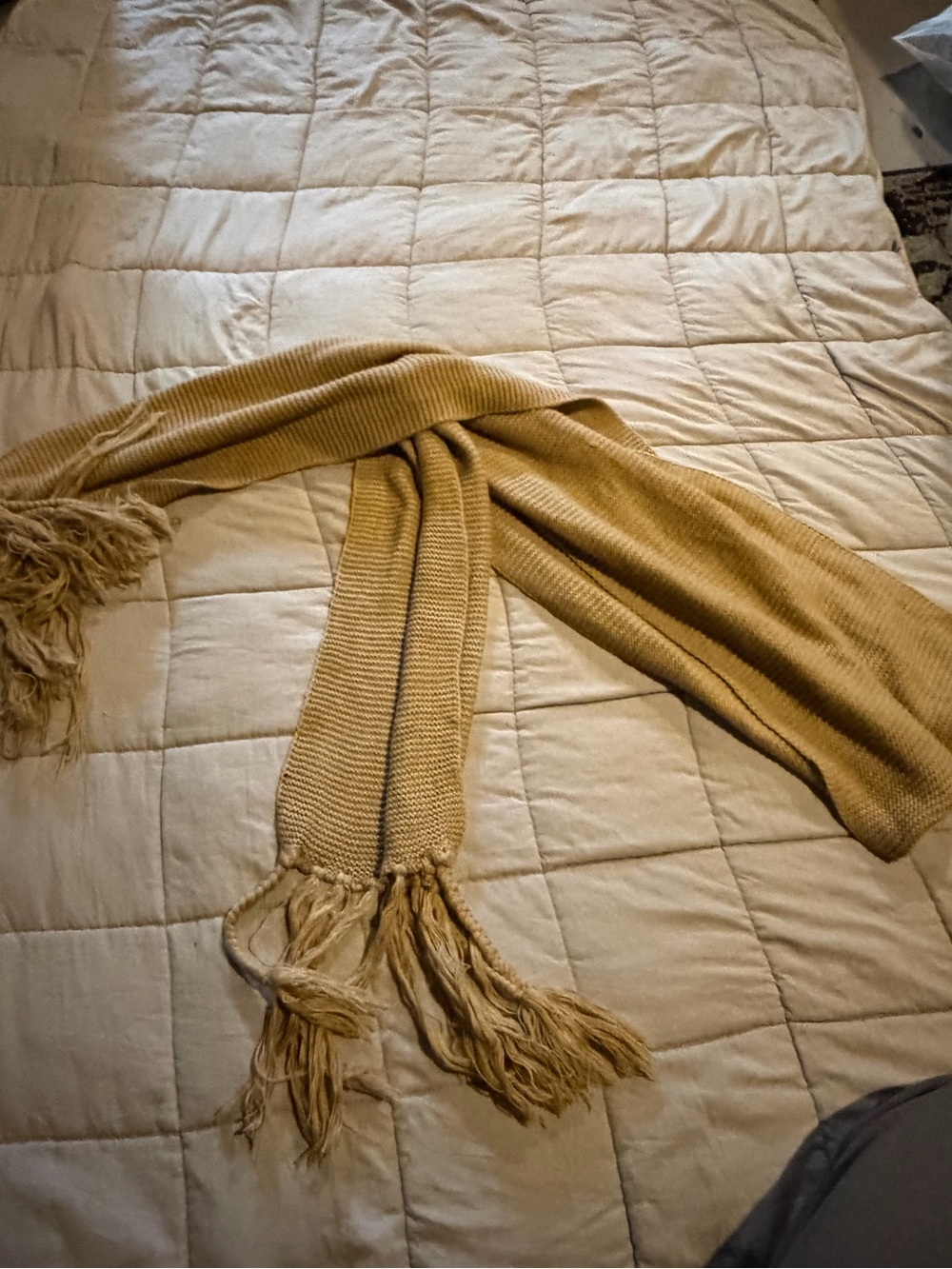 Lightweight Tan Knit Scarf with Fringe - Women's Accessory